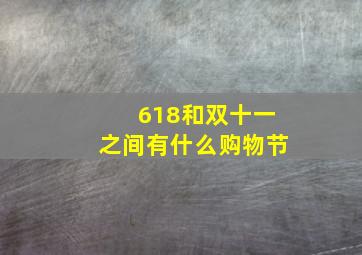 618和双十一之间有什么购物节