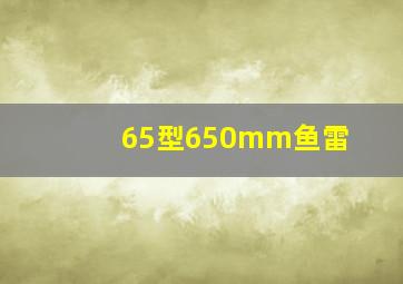 65型650mm鱼雷