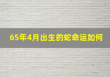 65年4月出生的蛇命运如何