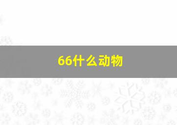 66什么动物