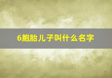 6胞胎儿子叫什么名字