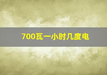 700瓦一小时几度电