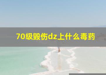 70级毁伤dz上什么毒药