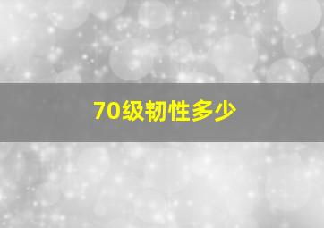 70级韧性多少