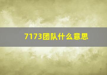 7173团队什么意思