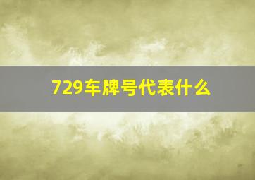 729车牌号代表什么