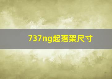 737ng起落架尺寸