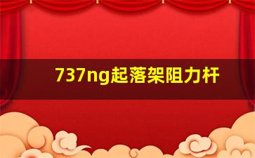 737ng起落架阻力杆