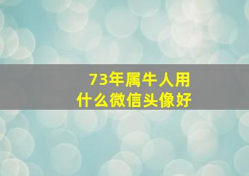 73年属牛人用什么微信头像好