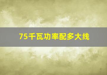 75千瓦功率配多大线