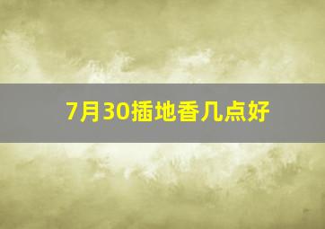 7月30插地香几点好