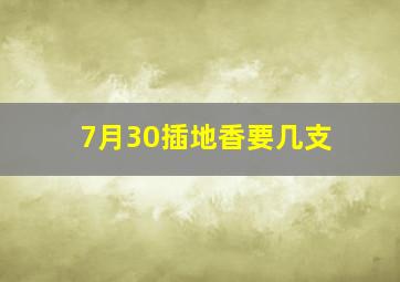 7月30插地香要几支