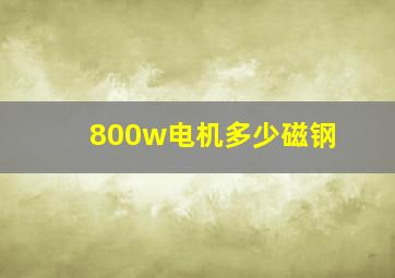 800w电机多少磁钢