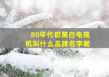 80年代初黑白电视机叫什么品牌名字呢