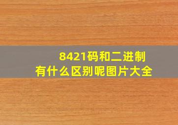 8421码和二进制有什么区别呢图片大全