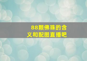 88颗佛珠的含义和配图直播吧