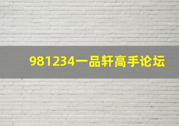 981234一品轩高手论坛