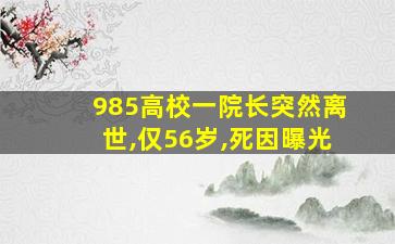 985高校一院长突然离世,仅56岁,死因曝光