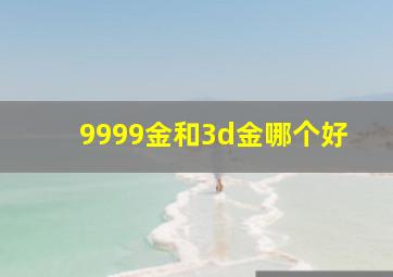 9999金和3d金哪个好