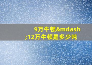 9万牛顿—12万牛顿是多少吨