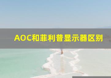 AOC和菲利普显示器区别