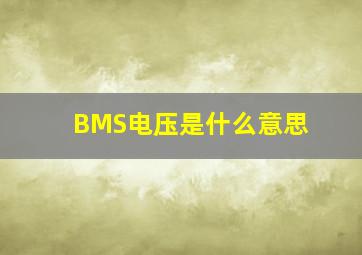 BMS电压是什么意思