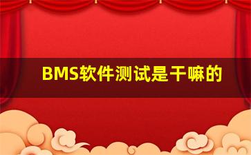 BMS软件测试是干嘛的