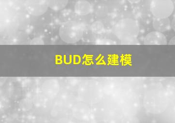 BUD怎么建模