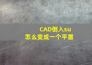 CAD倒入su怎么变成一个平面