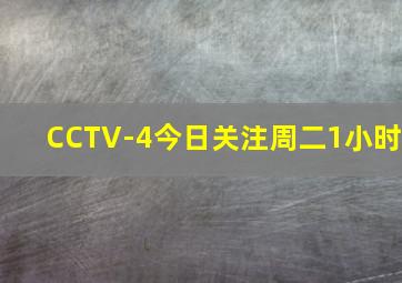 CCTV-4今日关注周二1小时