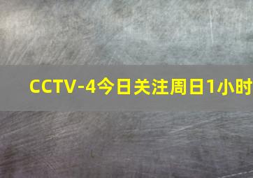 CCTV-4今日关注周日1小时