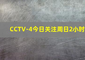 CCTV-4今日关注周日2小时