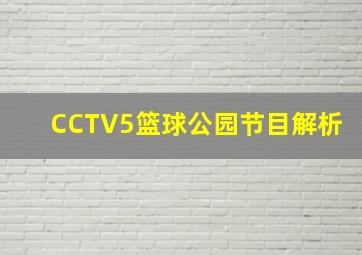 CCTV5篮球公园节目解析