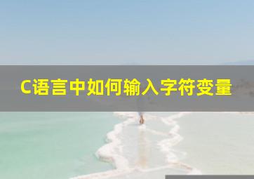 C语言中如何输入字符变量