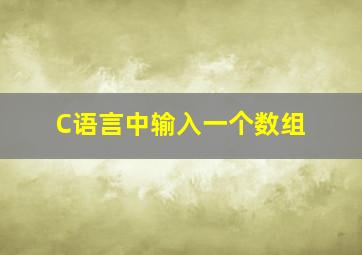 C语言中输入一个数组