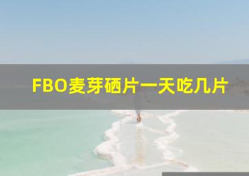 FBO麦芽硒片一天吃几片