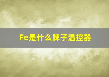 Fe是什么牌子温控器