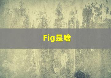 Fig是啥