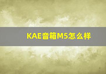 KAE音箱M5怎么样