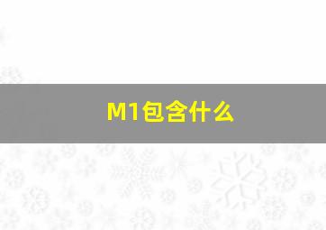 M1包含什么