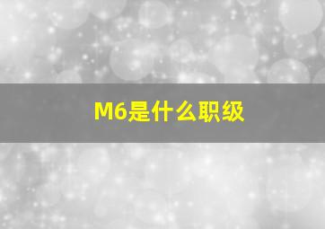 M6是什么职级