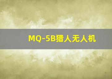 MQ-5B猎人无人机