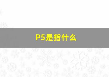 P5是指什么