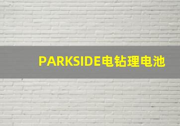 PARKSIDE电钻理电池