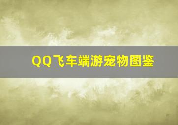 QQ飞车端游宠物图鉴