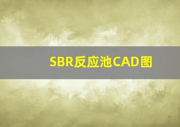 SBR反应池CAD图