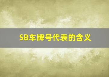 SB车牌号代表的含义