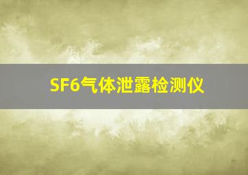 SF6气体泄露检测仪