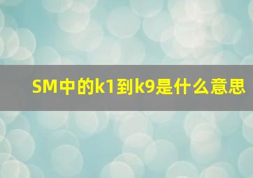 SM中的k1到k9是什么意思