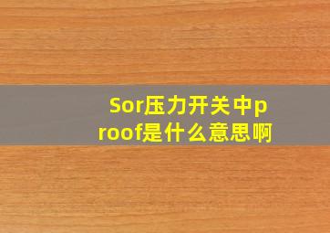 Sor压力开关中proof是什么意思啊